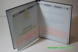 Купить диплом в Владикавказе Звенигородского финансово-экономического колледжа — филиала Финансового университета при ПРФ